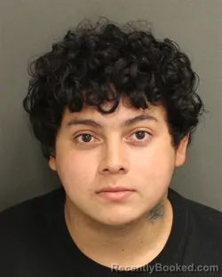 Mugshot of JORGE ANTONIO MURILLOQUINTANILLA