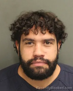 Mugshot of IRVING ENRIQUE PENAMATUTE
