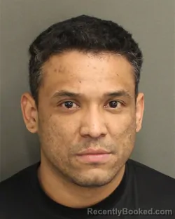 Mugshot of LUIS JESUS RAMIREZRIVERO