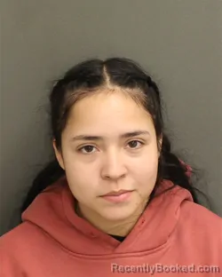 Mugshot of ANNERYS MARIA CANOALVAREZ