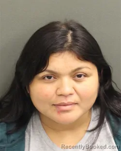 Mugshot of ANA LUZ LOPEZGONZALEZ