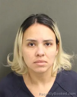 Mugshot of SOLBEY LORENA GALLARDOCARDENAS