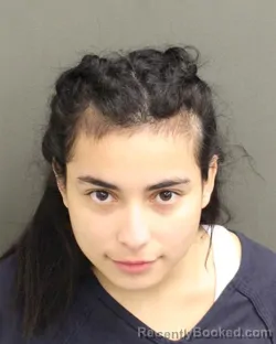 Mugshot of ALEXANDRA GISELLE VERDUDEANDRADE