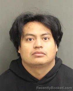 Mugshot of EVERTH DANIEL RAMIREZMARTINEZ