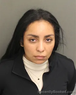 Mugshot of LILIBETH ROSARIO RAMONGARCES