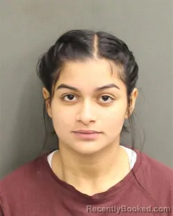 Mugshot of GYANNEL JORBRTH PEROZONIETO