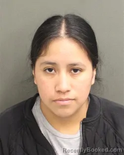 Mugshot of NOHELIA ESPERANZA PEREZBRAVO
