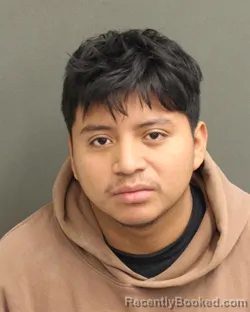 Mugshot of WILSON ELIZANDRO DOMINGOLOPEZ