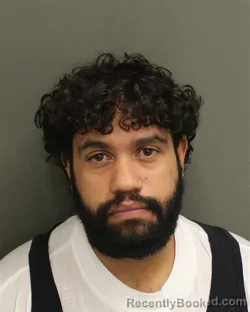 Mugshot of IRVING ENRIQUE PENAMATUTE