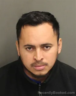 Mugshot of MARVIN ADALID ALVARADOMEZA