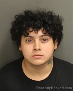 Booking photo from Orange County, Florida