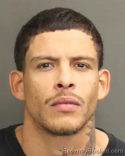 Mugshot of RICHARD ALEXIS RIJO