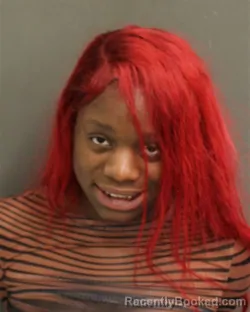 Mugshot of SANDRANA MICHELLE NOWELL