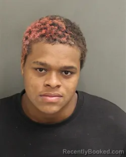 Mugshot of DAQUANA HIPPOLYTE