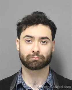 Mugshot of PERRY APPIN