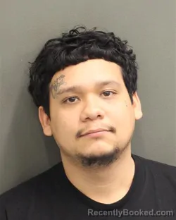 Mugshot of ANDRES ARIZARI DESANTIAGO