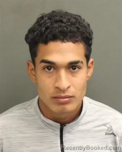 Mugshot of RONAYGEL PENARANDASALINAS