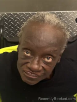 Mugshot of MELISSA FOSTER