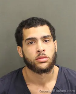 Mugshot of BRAD MITCHELL WINTER