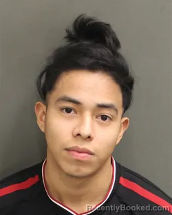 Mugshot of GERSON REYESMEJIA