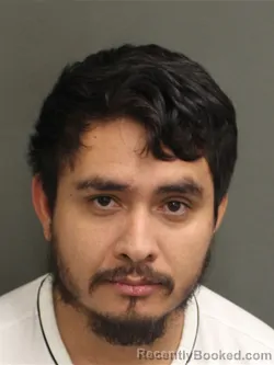 Mugshot of BRIAN ANTONIO MORENORODAS