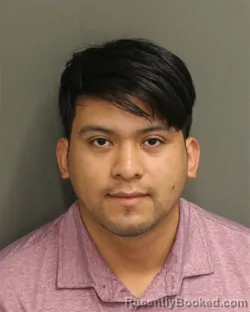 Mugshot of HECTOR M YOCCINTO