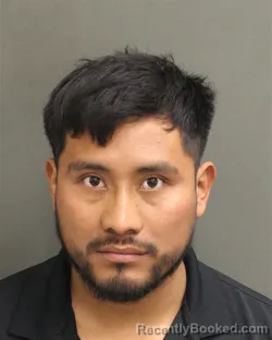 Mugshot of WILMER MACDONAL SALESLOPEZ