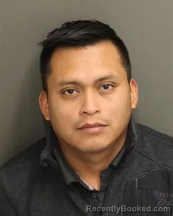 Mugshot of LUIS FERNANDO YOCCINTO