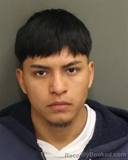 Mugshot of FREDY O DOMINGODOMINGO