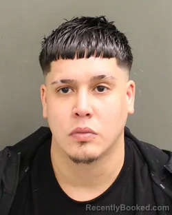 Mugshot of DIEGO ARMANDO CAPESTANYIRIZARRY