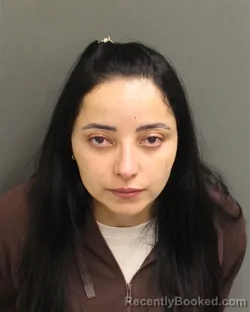 Mugshot of DEBORA CINARA MAGALHAESSIRUFFO
