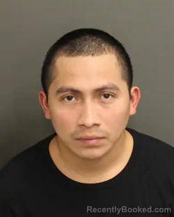 Mugshot of HERALDO ALFREDO RAMIREZRAMIREZ