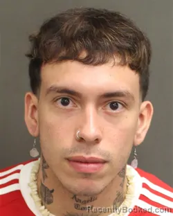 Mugshot of IGOR FERREIRAARAUJO