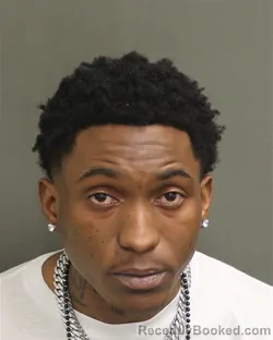 Mugshot of BRUCE LEAVELLE HOLT