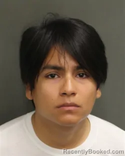 Mugshot of JULIO ALDAIR ENRIQUEZVALENZUELA