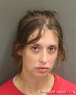 Mugshot of MARCEDES LYNN LEHRER