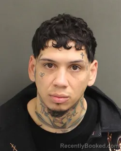 Mugshot of FENEX SAVIER TORRESRODRIGUEZ