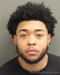 Mugshot of PALMER V COX