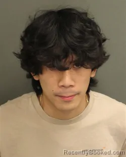 Mugshot of ANDREW MANH VU