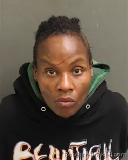 Mugshot of NAOMI SANCHEZ