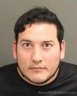Mugshot of ANDRES EDUARDO LUZARDOBALZAN