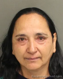 Mugshot of ROCIO RAMIREZSANCHEZ