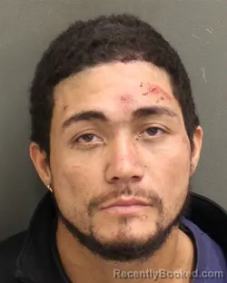 Mugshot of FRANCISCO ISMAEL ORTIZALBERIO