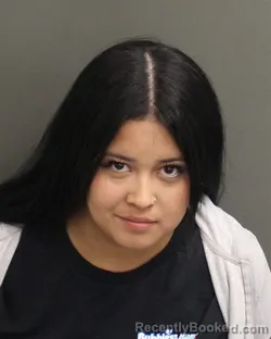 Mugshot of DIANA HARNANDEZ