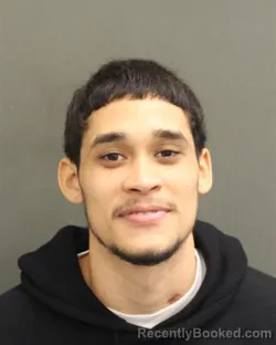 Mugshot of BRYAN MEDINARIVERA