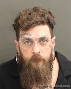 Mugshot of STEPHEN LEE WELLS