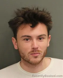 Mugshot of JONAS LEE IRISHFARIAS