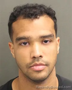Mugshot of ROMARIO RONALDO RIVA WILLIAMS