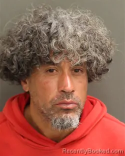 Mugshot of LUIS FORCE