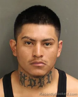 Mugshot of LUIS ALBERTO HERNANDEZRAMIREZ